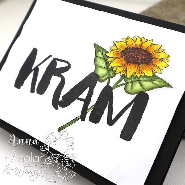 UTGÅTT - Clear Stamps - Solorosor A7